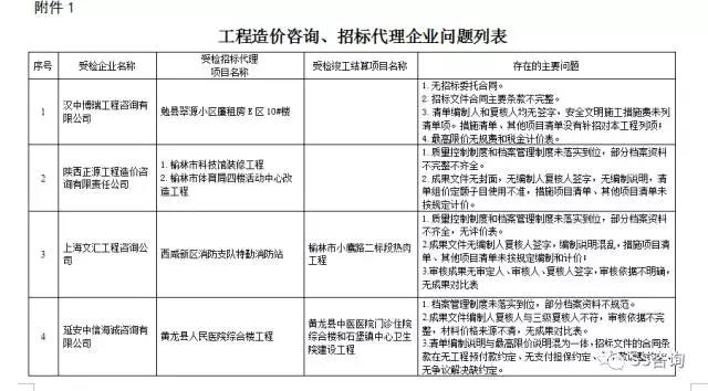 工程造價咨詢、招標代理企業(yè)問題列表