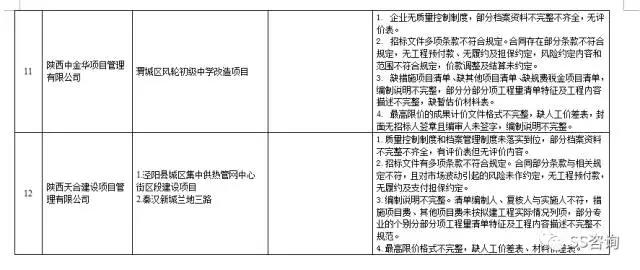 工程造價咨詢、招標代理企業(yè)問題列表